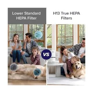 LEVOIT Purificador de aire para el hogar filtro H13 True_6