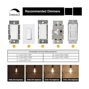 CRLight foco de luz con filamentos de ledes ST64 regulable_4