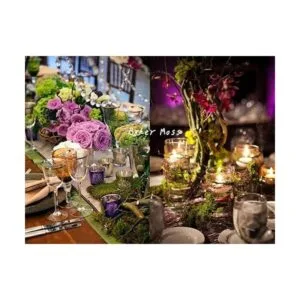 Byher 92926 Musgo de bosque verde fresco 8 onzas 200_5
