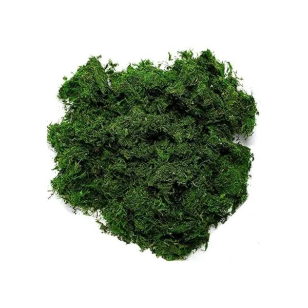 Byher 92926 Musgo de bosque verde fresco 8 onzas 200_3