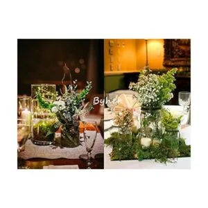 Byher 92926 Musgo de bosque verde fresco 8 onzas 200_4