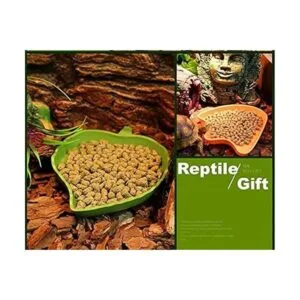 Pranovo Juego de 2 cuencos de agua y comida para reptiles_5