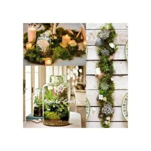 Byher 92926 Musgo de bosque verde fresco 8 onzas 200_6