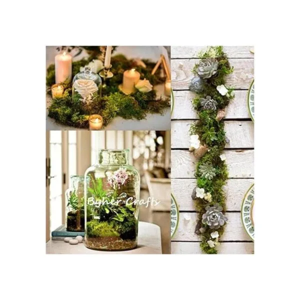 Byher 92926 Musgo de bosque verde fresco 8 onzas 200_6