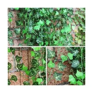 Conjunto de 12 guirnaldas de planta trepadora 82 pulgadas_3