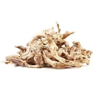 Koyal Wholesale Decoración de relleno de madera de uva_1