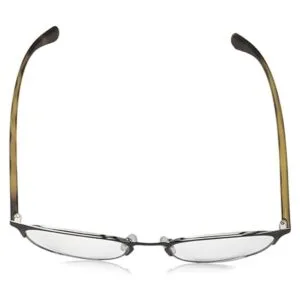 Lentes Emporio Armani EA 1059 3179 Marrón mateGUNMETAL_4