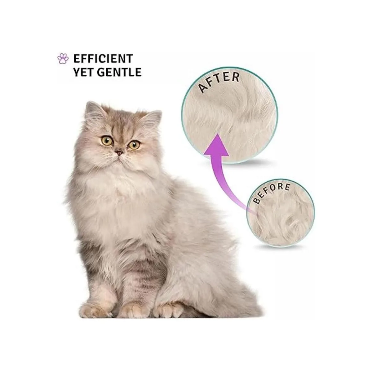 Poodle Pet Herramienta de cepillo para rastrillo de pelo_6