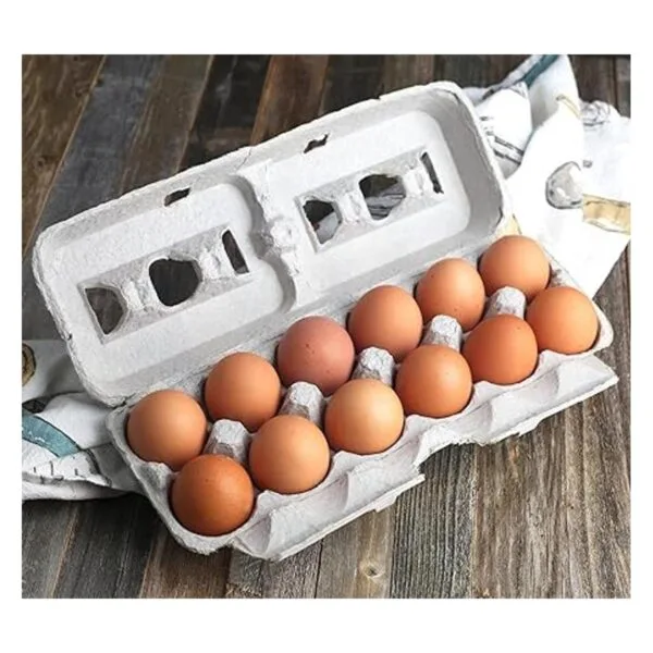 MT Products Cajas de huevos de pulpa natural impresas con_4