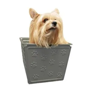 Spectrum Diversified Paws Macklin Basket Cubo de_2