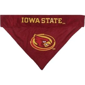 Pets First Iowa State Reversible Bandana for Dogs_3