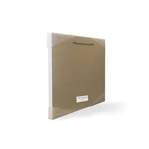 El Stupell Home Décor Collection siempre ser un dinosaurio_2