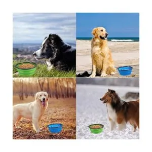 Comsun Paquete de 2 cuencos plegables para perros de_4