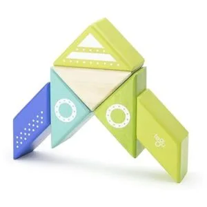 Tegu Compañeros de viaje nave espacial_4