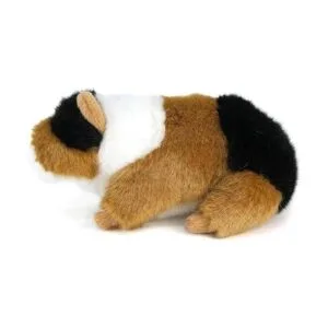 Gigi The Guinea Pig Peluche de animal de peluche de 6_4