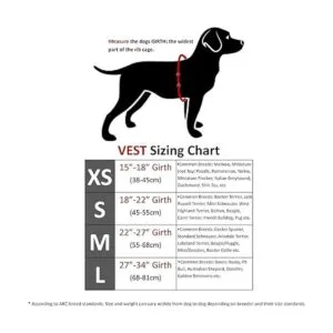 CoolerDog Chaleco de refrigeración para perros y collar_4