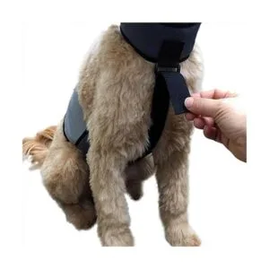 CoolerDog Chaleco de refrigeración para perros y collar_3