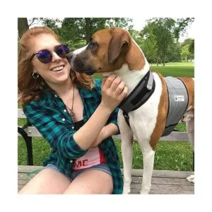 CoolerDog Chaleco de refrigeración para perros y collar_5