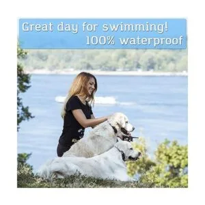 PetSpy P620 Collar de choque de entrenamiento para perros_2