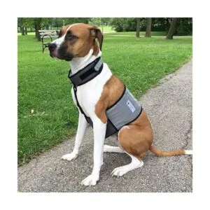 CoolerDog Chaleco de refrigeración para perros y collar_6