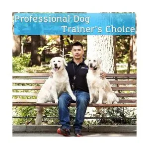 PetSpy P620 Collar de choque de entrenamiento para perros_5