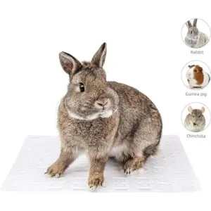 Niteangel 2 alfombrillas de conejo para jaula viene con_2