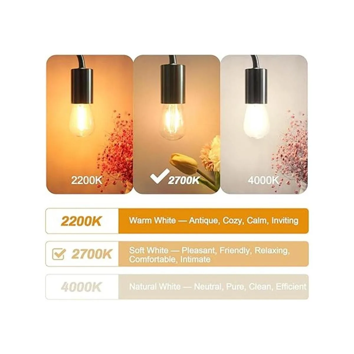 BRIMAX Paquete de 6 bombillas LED de 2 W no regulable_2