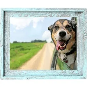 BarnwoodUSA Portarretratos con marco de estilo rústico_5