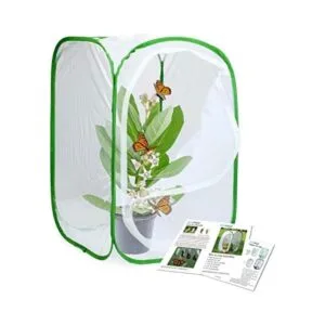 RESTCLOUD Jaula para insectos y mariposas tamaño pequeño_1