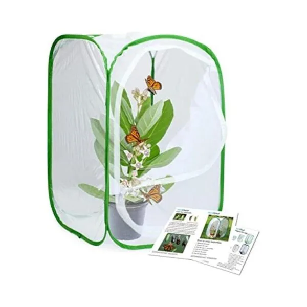 RESTCLOUD Jaula para insectos y mariposas tamaño pequeño_1
