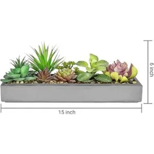 MyGift Arreglo de plantas suculentas artificiales de_3
