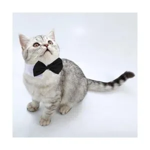 3 piezas ajustables para mascotas perro gato corbatín_4