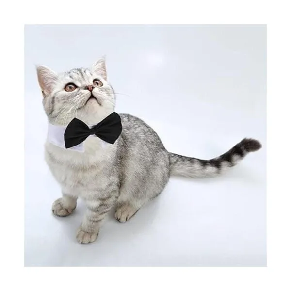 3 piezas ajustables para mascotas perro gato corbatín_4