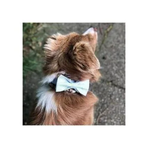 Corbatín para mascotas perros o gatos suave y cómodo_6