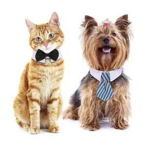 3 piezas ajustables para mascotas perro gato corbatín_3