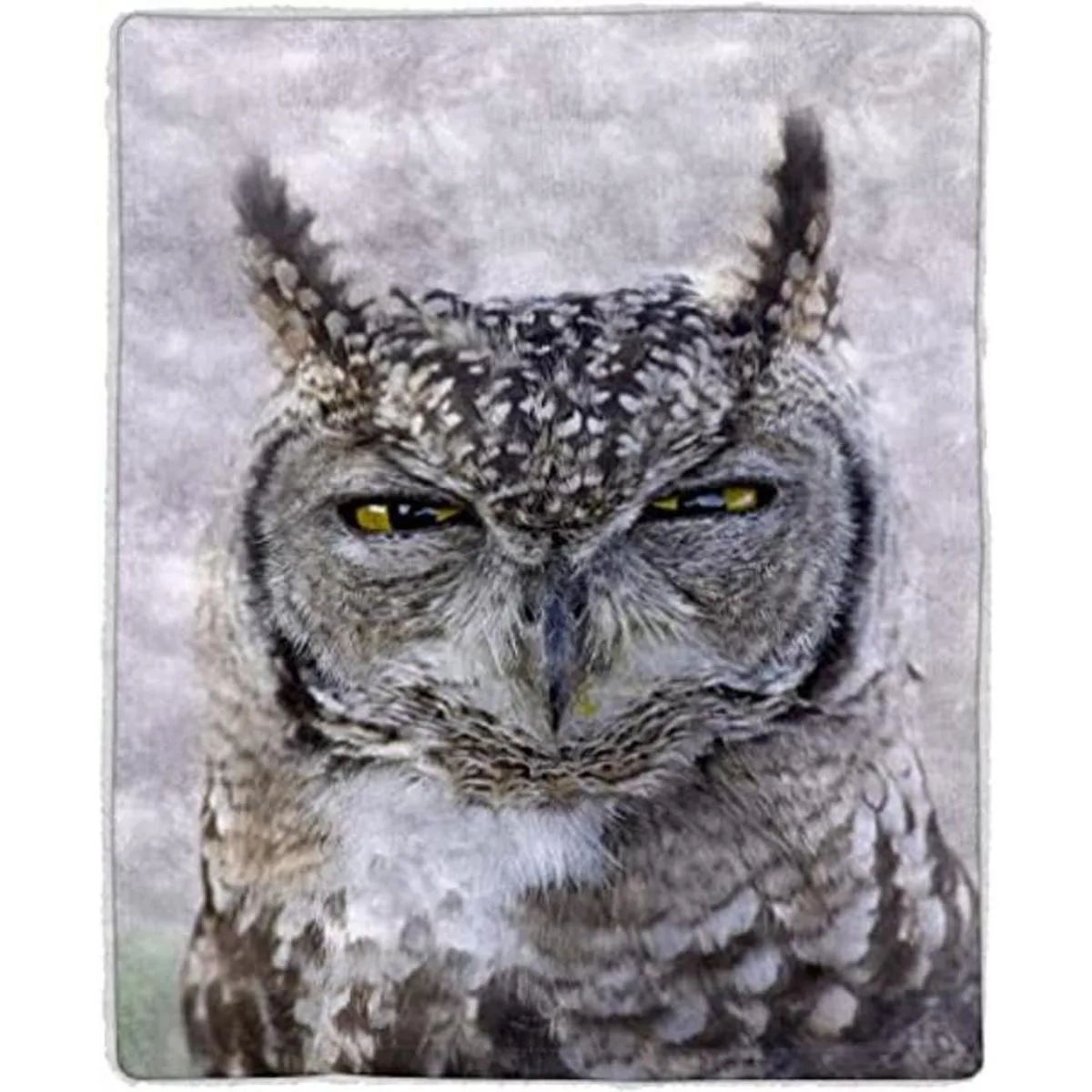 Lavish Home Manta de forro polar Sherpa con estampado de_1