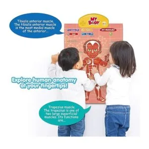 BEST LEARNING iPoster My Body Sistema educativo_3