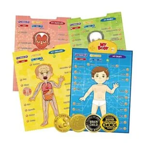 BEST LEARNING iPoster My Body Sistema educativo_1