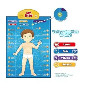 BEST LEARNING iPoster My Body Sistema educativo_2