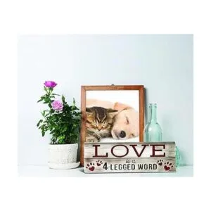 Spoontiques Wonder Woman Letrero de escritorio_3