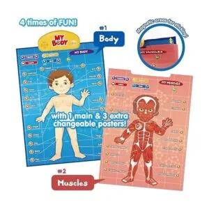 BEST LEARNING iPoster My Body Sistema educativo_5