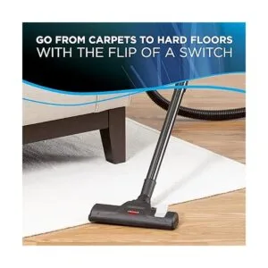 Bissell Zing Aspiradora de depósito_4