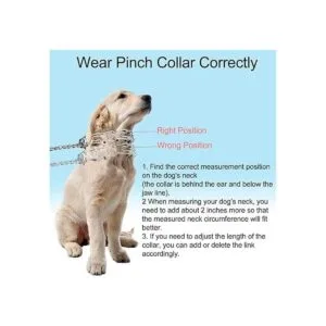 Darkyazi Collar de acero inoxidable duradero para perros_7