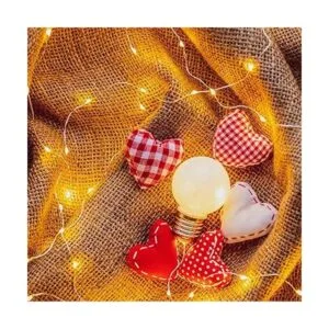 HSicily Luces de hadas enchufables 100 luces LED de 33_5