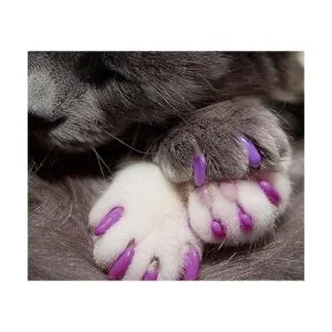 Kitty Caps Tapas de uñas para gatos color blanco con_3