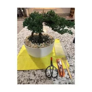 Kebinfen Bonsai Juego de herramientas para podar árboles_6