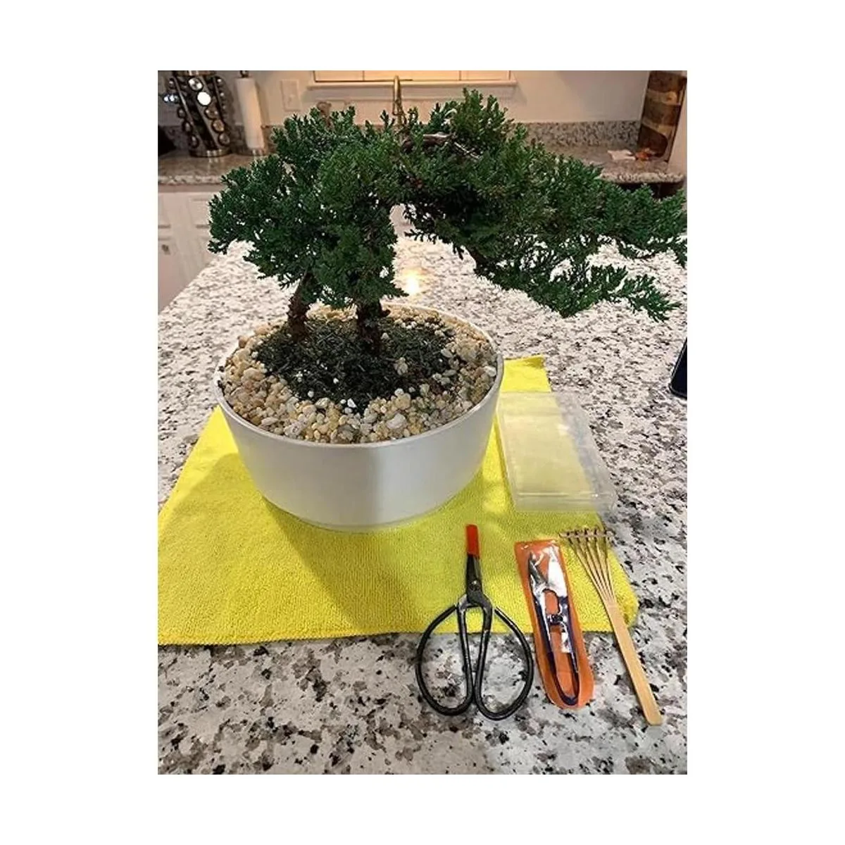 Kebinfen Bonsai Juego de herramientas para podar árboles_6