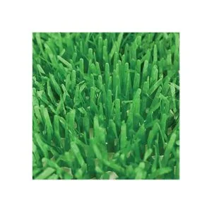 Beistle 4 alfombrillas de papel de seda verde para_2