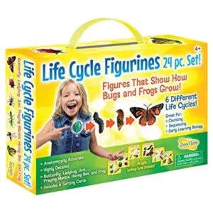 Insect Lore Life Cycle Figurines Juego de 24 piezas_1
