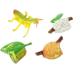Insect Lore Life Cycle Figurines Juego de 24 piezas_6